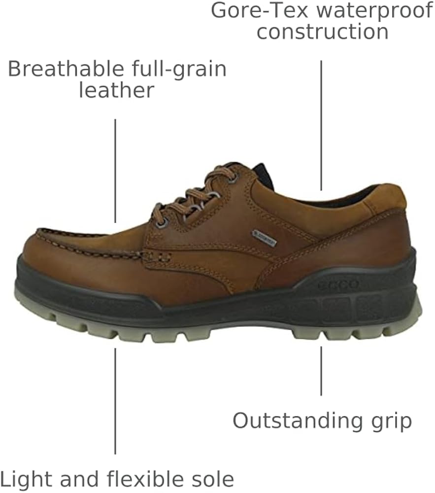 Amazon.com | ECCO Men's Track 25 Low GORE-TEX Waterproof